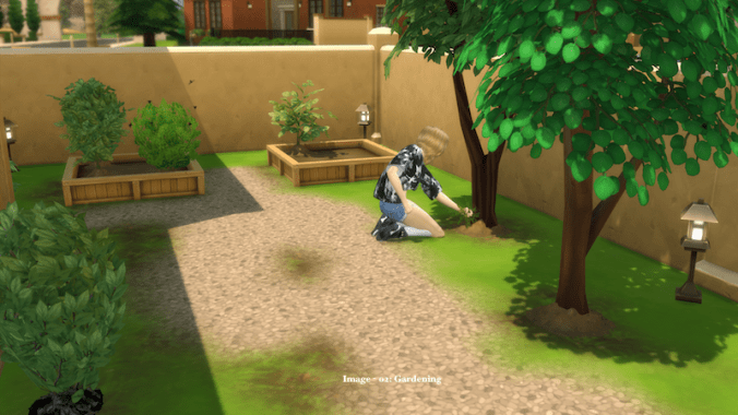 02-caringforthegarden